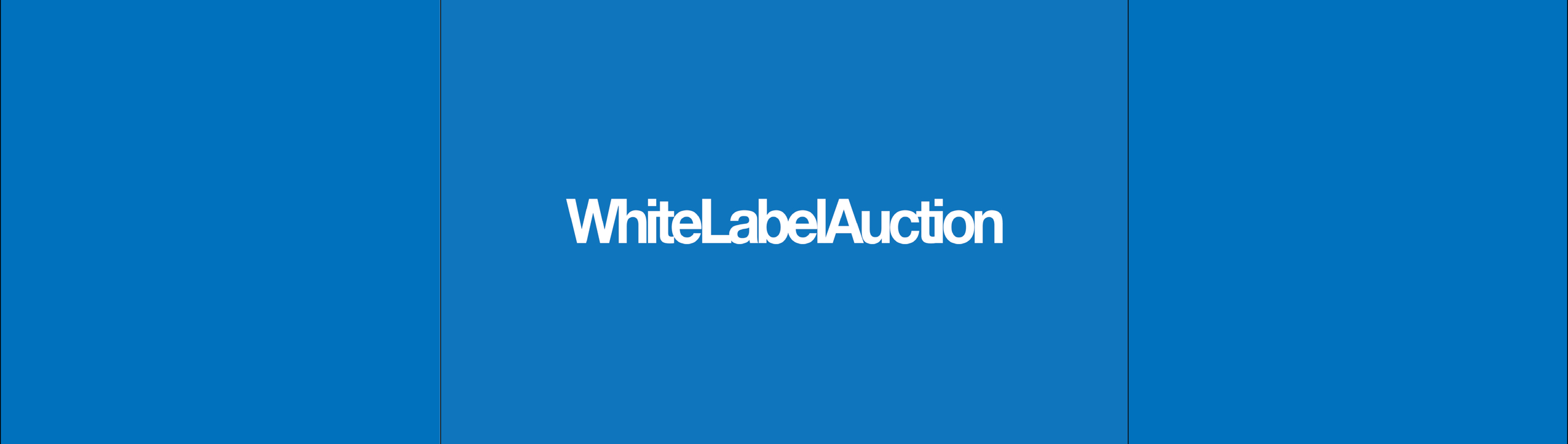 White Label Auction in aid of The BRIT Trust achieves £26,845 hammer price